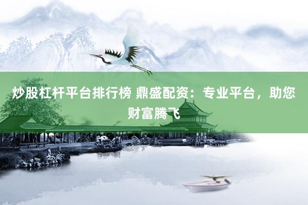 炒股杠杆平台排行榜 鼎盛配资：专业平台，助您财富腾飞